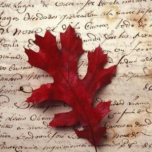 Meet your Posher, Randy